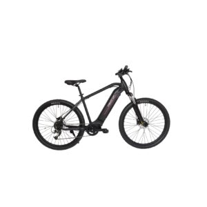 Maxtron E-Mountainbike MT-15X