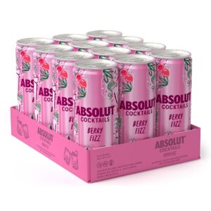 Absolut Cocktail Berry Fizz 10