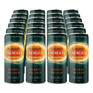 Kombucha Energize Herbal Orange 250 ml Dose