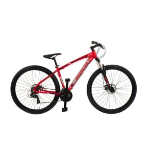 Via Veneto Mountainbike 29 Zoll MOONSTER