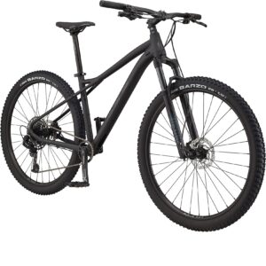 GT Avalanche Expert Mountainbike Fahrrad 29 Zoll MTB Hardtail SRAM 12 Gänge