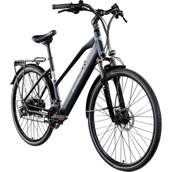 Zündapp Z810 E Bike Trekkingrad Damen ab 155 cm mit 24 Gängen und Beleuchtung StVZO