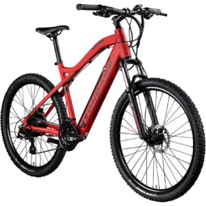 Zündapp Z898 E-Bike E Mountainbike 27