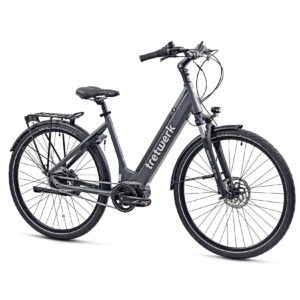 Tretwerk Amber Nexus E Bike Damen 28 Zoll Elektrofahrrad 160 - 180 cm Hollandrad Tiefeinsteiger