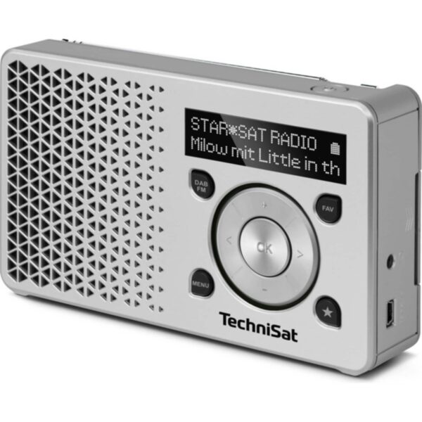 TechniSat DIGITRADIO 1 DAB+ Radio silber/silber