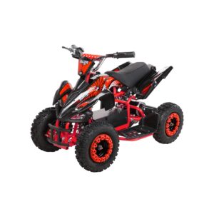 Kinderquad Racer 1000