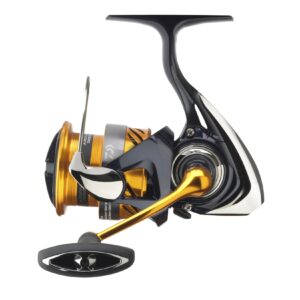 Daiwa 23 Revros LT 1000 Spinnrolle