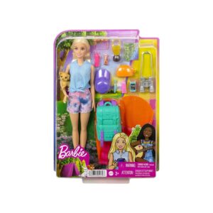 Mattel HDF73 - Barbie - Puppe mit Zubehör