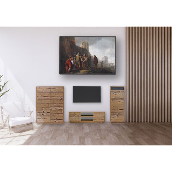 Wohnwand Set TV-Lowboard HiFi-Kommode 3 teilig Fichte