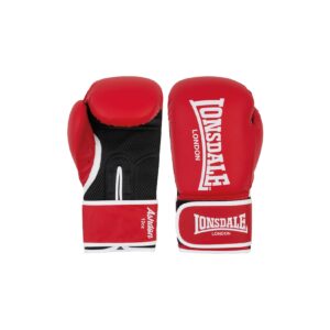 Lonsdale Boxhandschuhe aus Kunstleder ASHDON